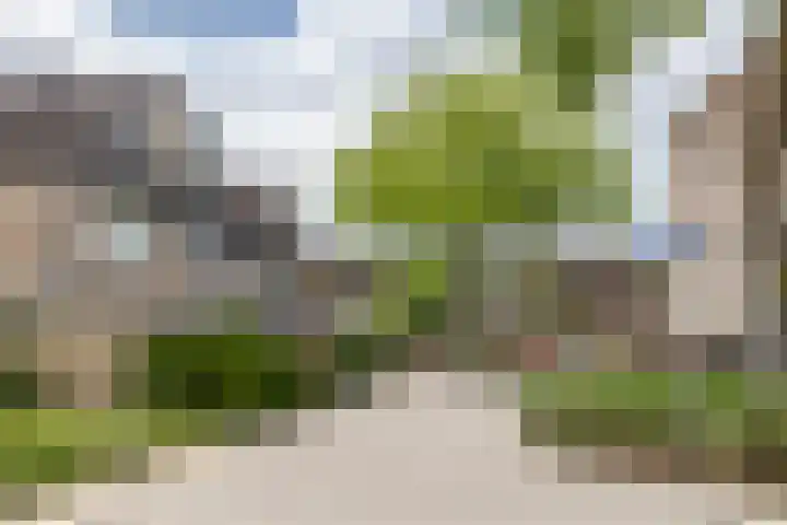 Minnemansakker 12 Breda thumbnail 40