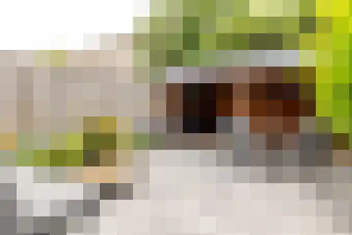 Minnemansakker 12 Breda thumbnail 5