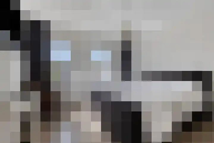 Minnepoortstraat 13 IJzendijke thumbnail 16