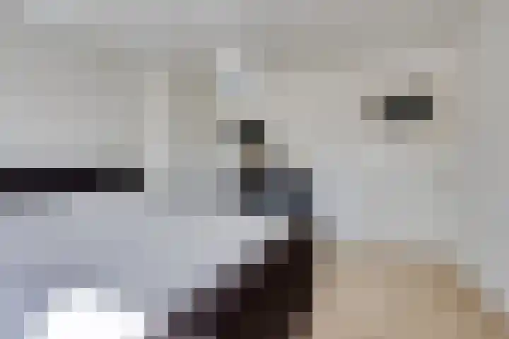 Minnepoortstraat 13 IJzendijke thumbnail 17