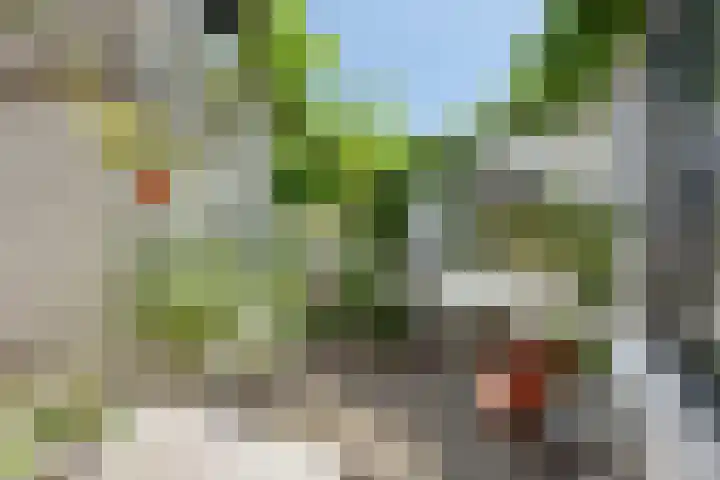 Minnepoortstraat 13 IJzendijke thumbnail 27