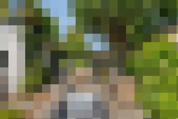 Minnepoortstraat 13 IJzendijke thumbnail 31