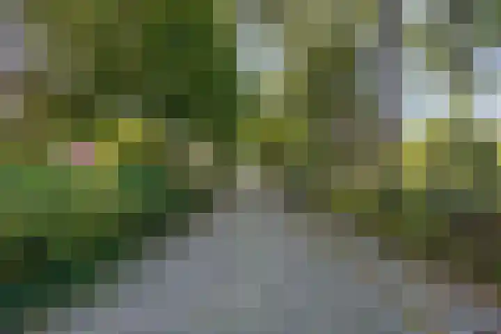 Minnepoortstraat 13 IJzendijke thumbnail 38