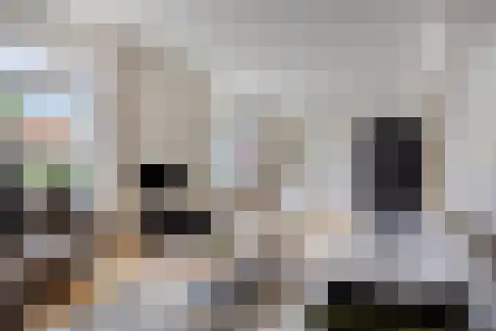 Minnepoortstraat 13 IJzendijke thumbnail 5