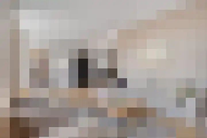 Minnepoortstraat 13 IJzendijke thumbnail 6