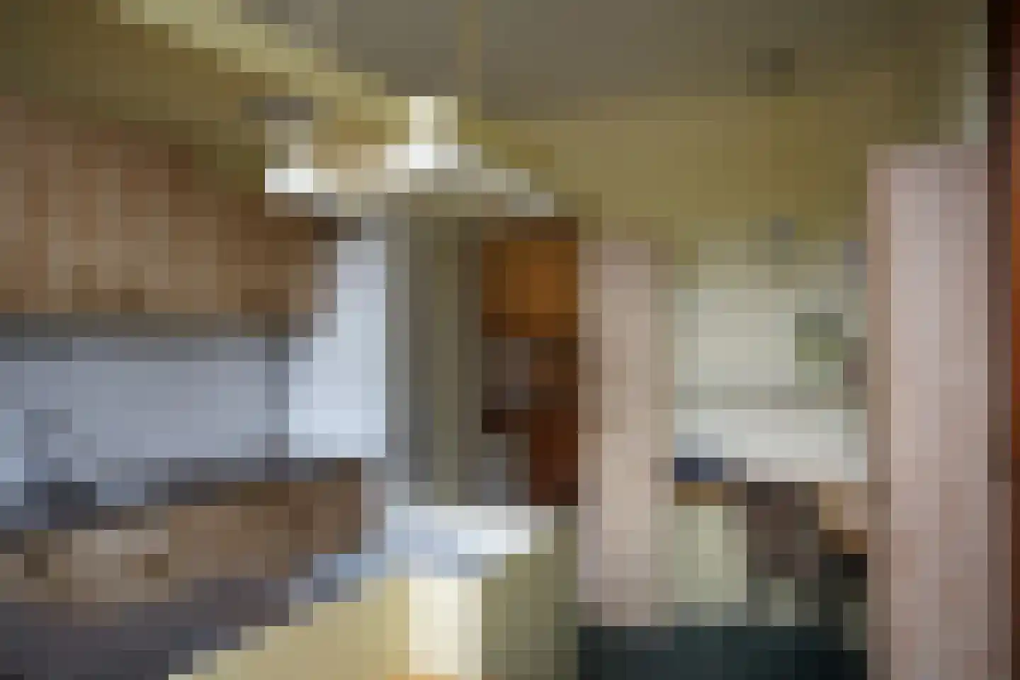 Minnepoortstraat 6 IJzendijke thumbnail 10