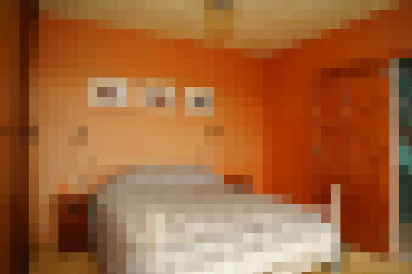 Minnepoortstraat 6 IJzendijke thumbnail 22