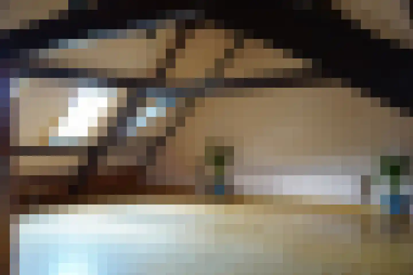 Minnepoortstraat 6 IJzendijke thumbnail 31