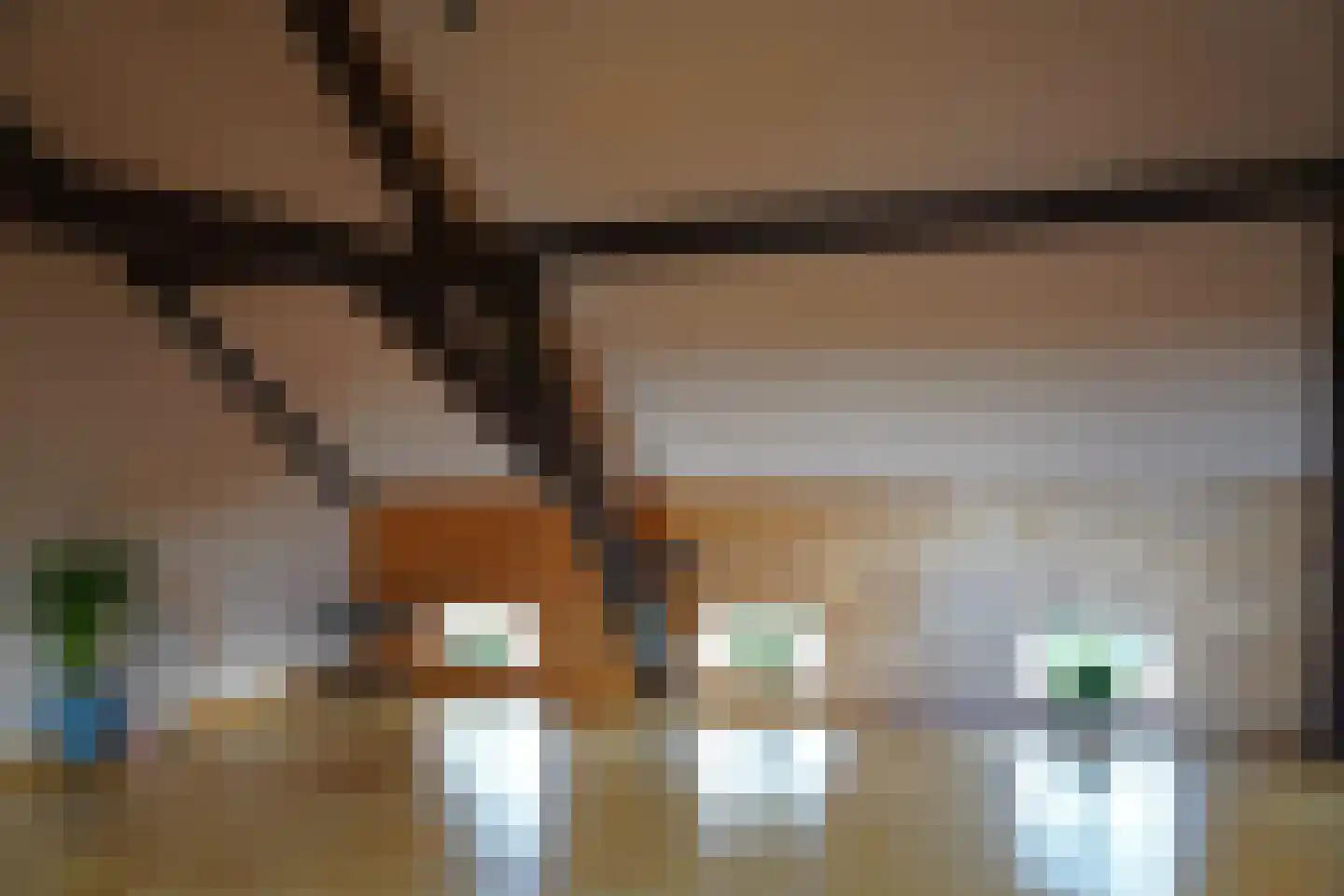 Minnepoortstraat 6 IJzendijke thumbnail 32