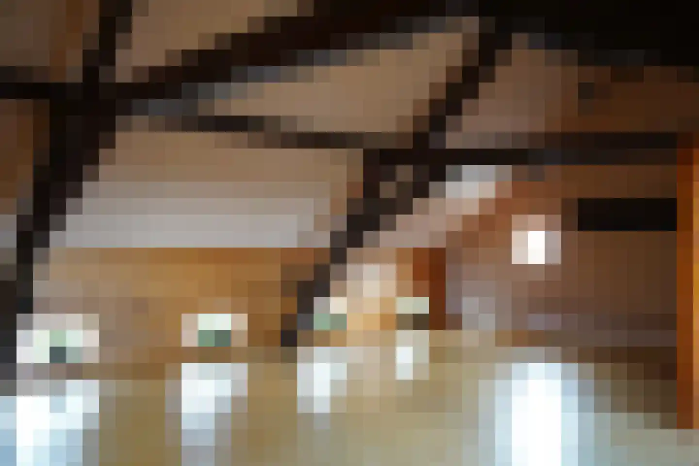 Minnepoortstraat 6 IJzendijke thumbnail 33