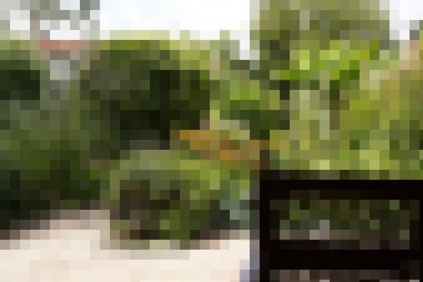 Minnepoortstraat 6 IJzendijke thumbnail 36
