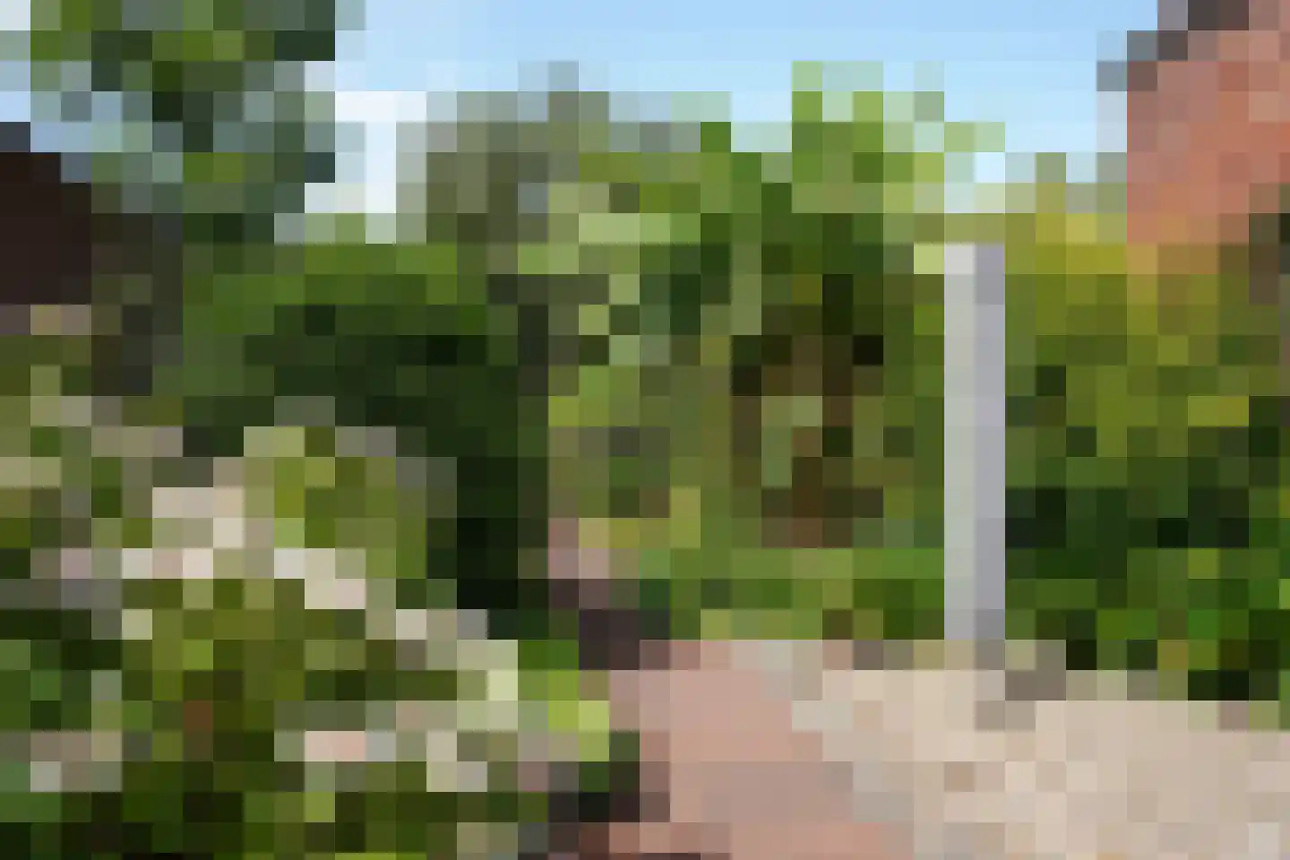 Minnepoortstraat 6 IJzendijke thumbnail 37