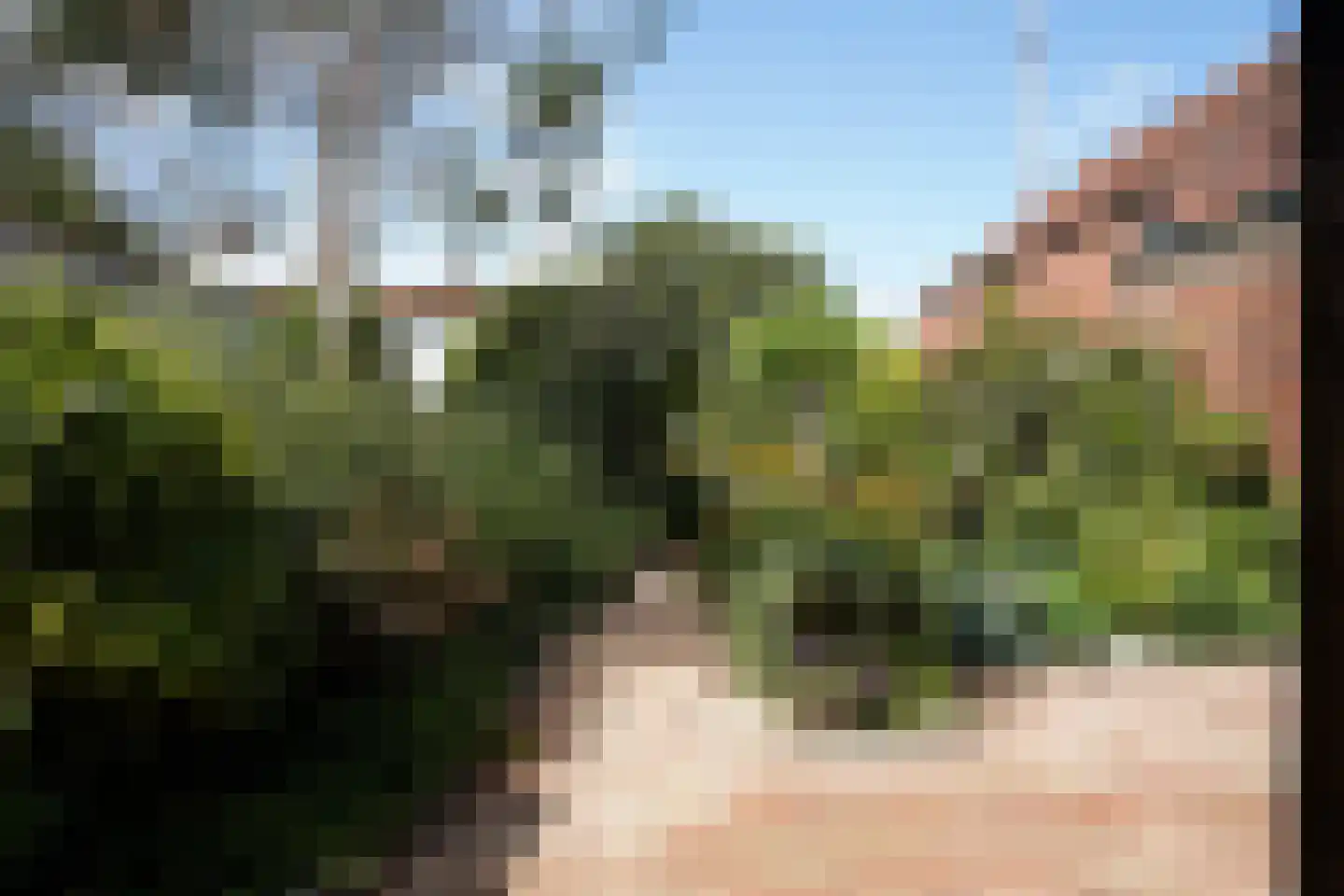 Minnepoortstraat 6 IJzendijke thumbnail 38