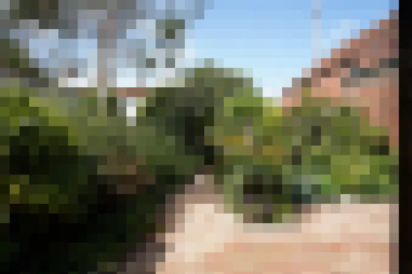 Minnepoortstraat 6 IJzendijke thumbnail 38