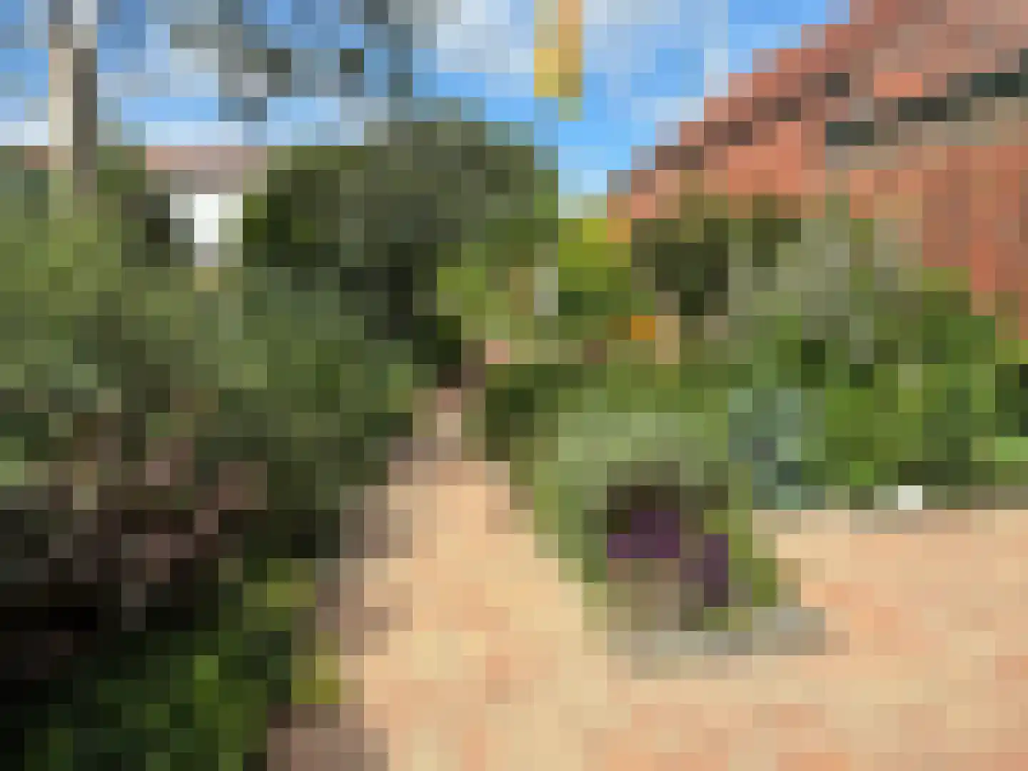 Minnepoortstraat 6 IJzendijke thumbnail 39