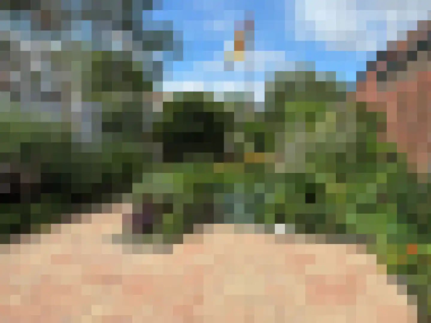 Minnepoortstraat 6 IJzendijke thumbnail 40
