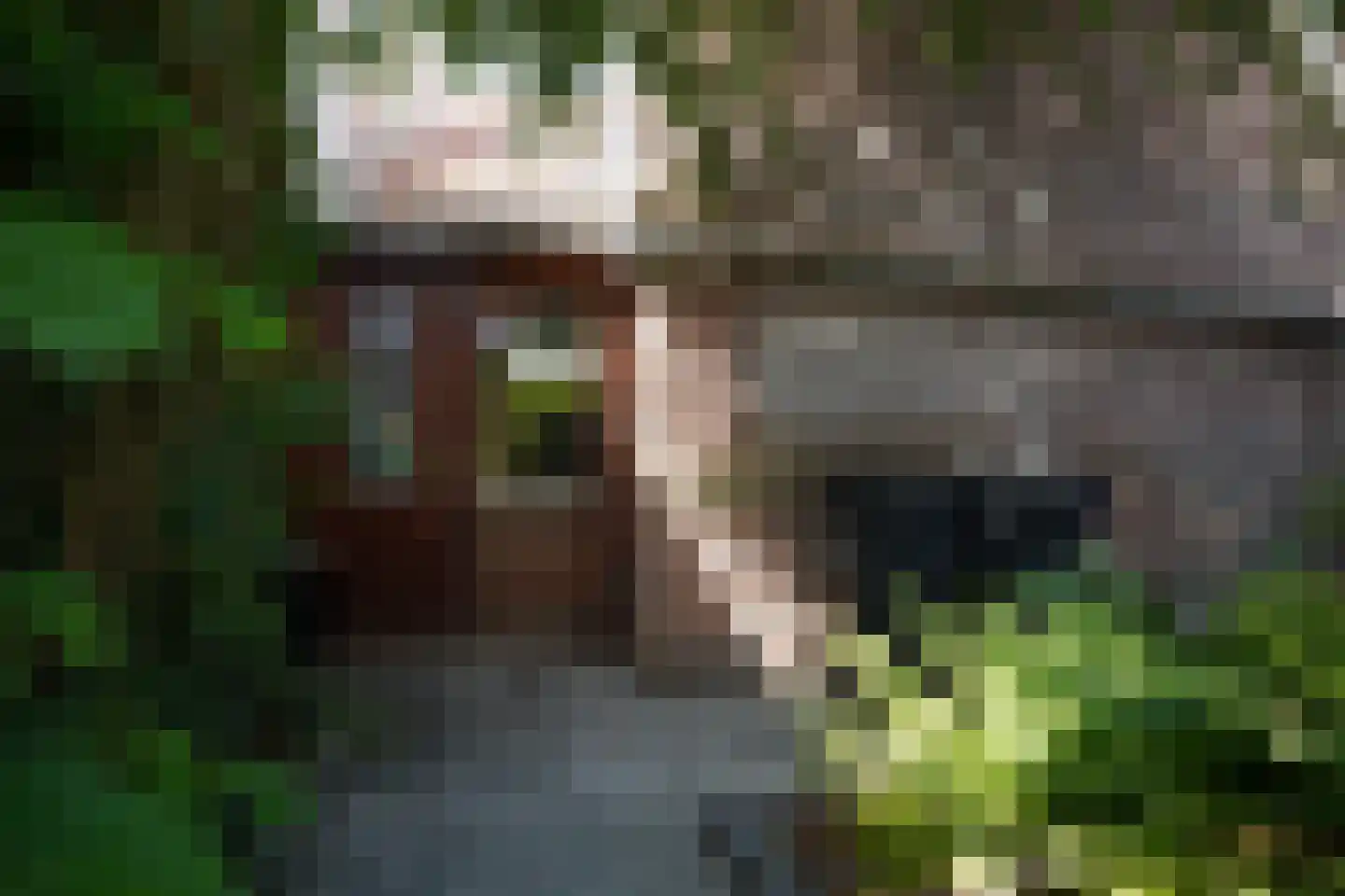 Minnepoortstraat 6 IJzendijke thumbnail 42