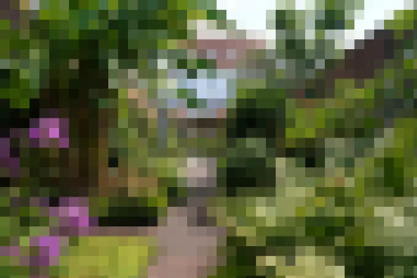 Minnepoortstraat 6 IJzendijke thumbnail 43