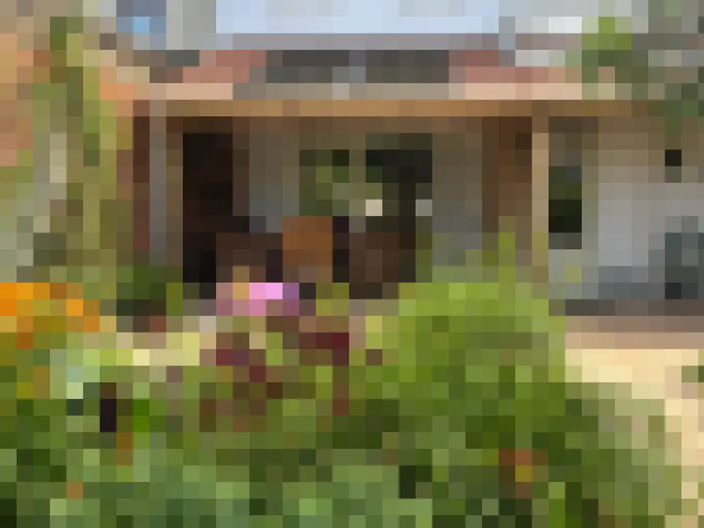 Minnepoortstraat 6 IJzendijke thumbnail 48