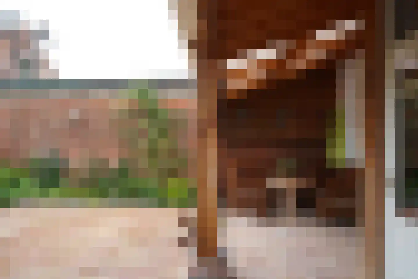 Minnepoortstraat 6 IJzendijke thumbnail 50