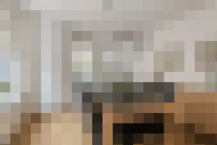 Minneputtestraat 1 Tholen thumbnail 11