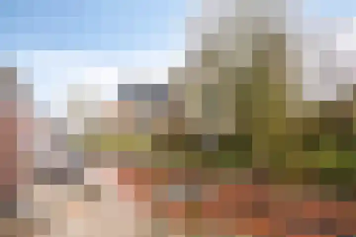 Minneputtestraat 1 Tholen thumbnail 41