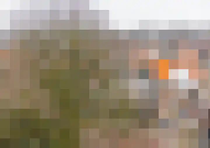 Minneputtestraat 1 Tholen thumbnail 45