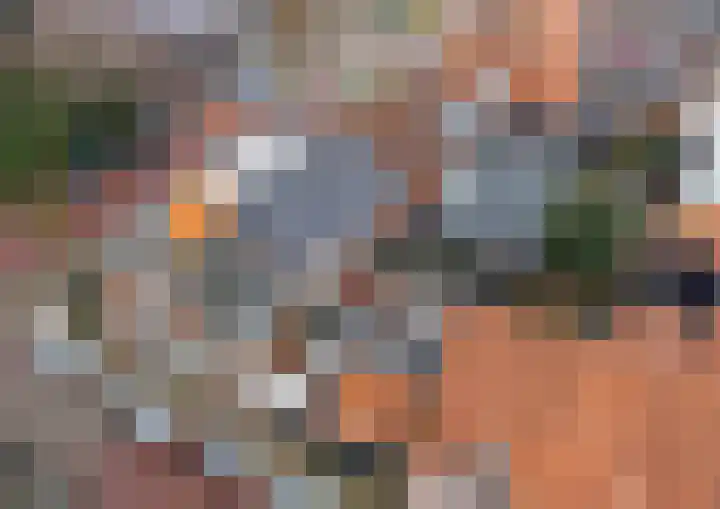 Minneputtestraat 1 Tholen thumbnail 47