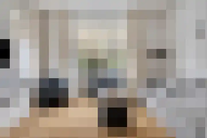 Minneputtestraat 1 Tholen thumbnail 6
