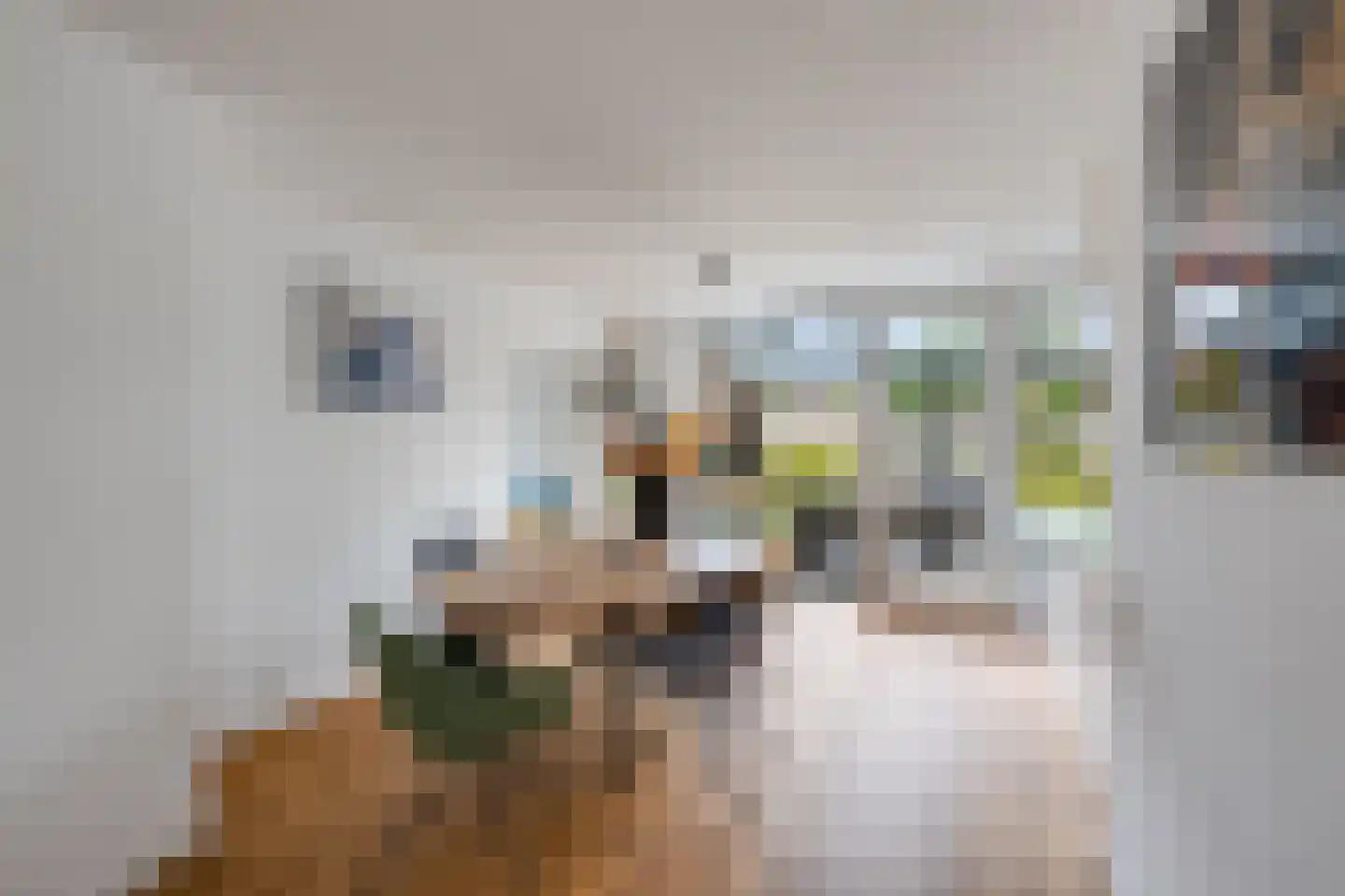 Minnertsgastraat 7 Tilburg thumbnail 13