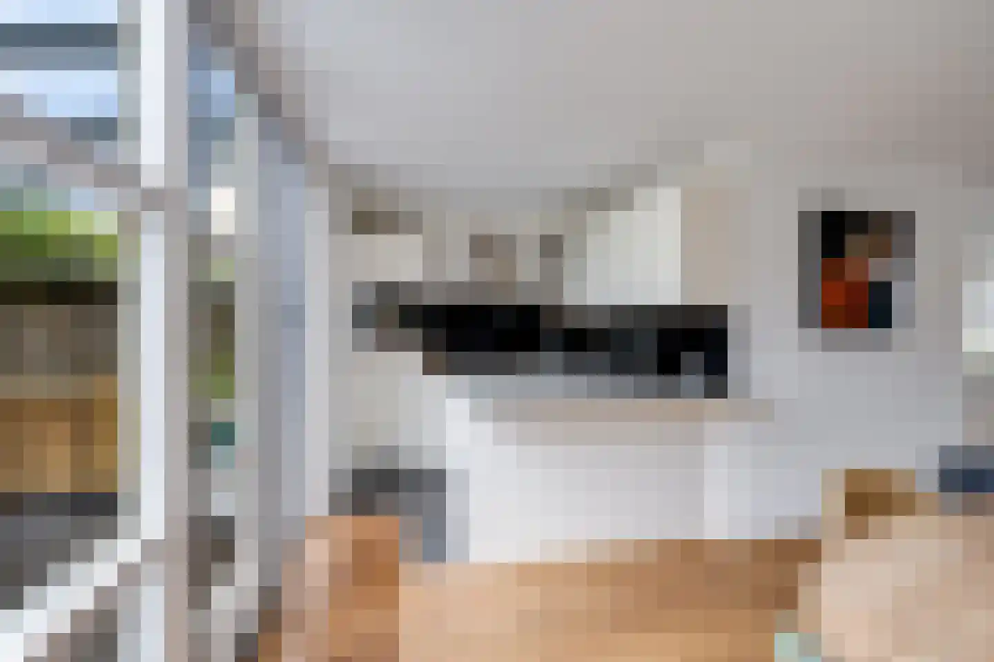 Minnertsgastraat 7 Tilburg thumbnail 15