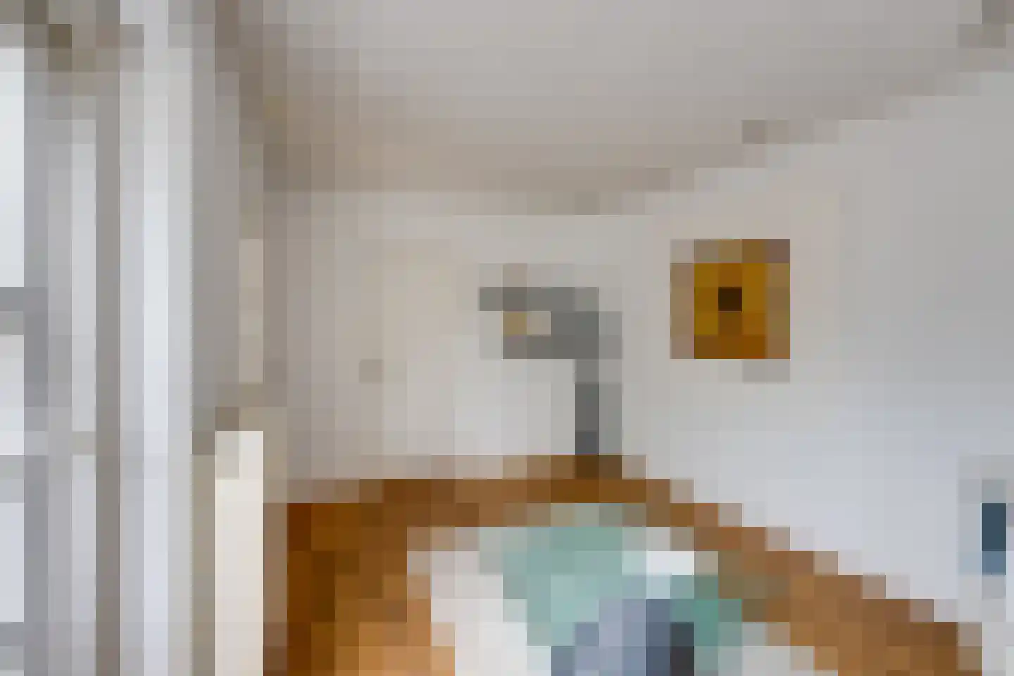 Minnertsgastraat 7 Tilburg thumbnail 20