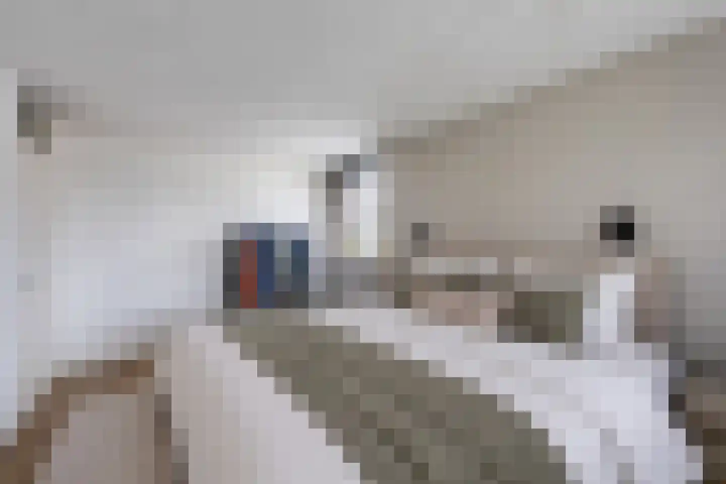 Minnertsgastraat 7 Tilburg thumbnail 25