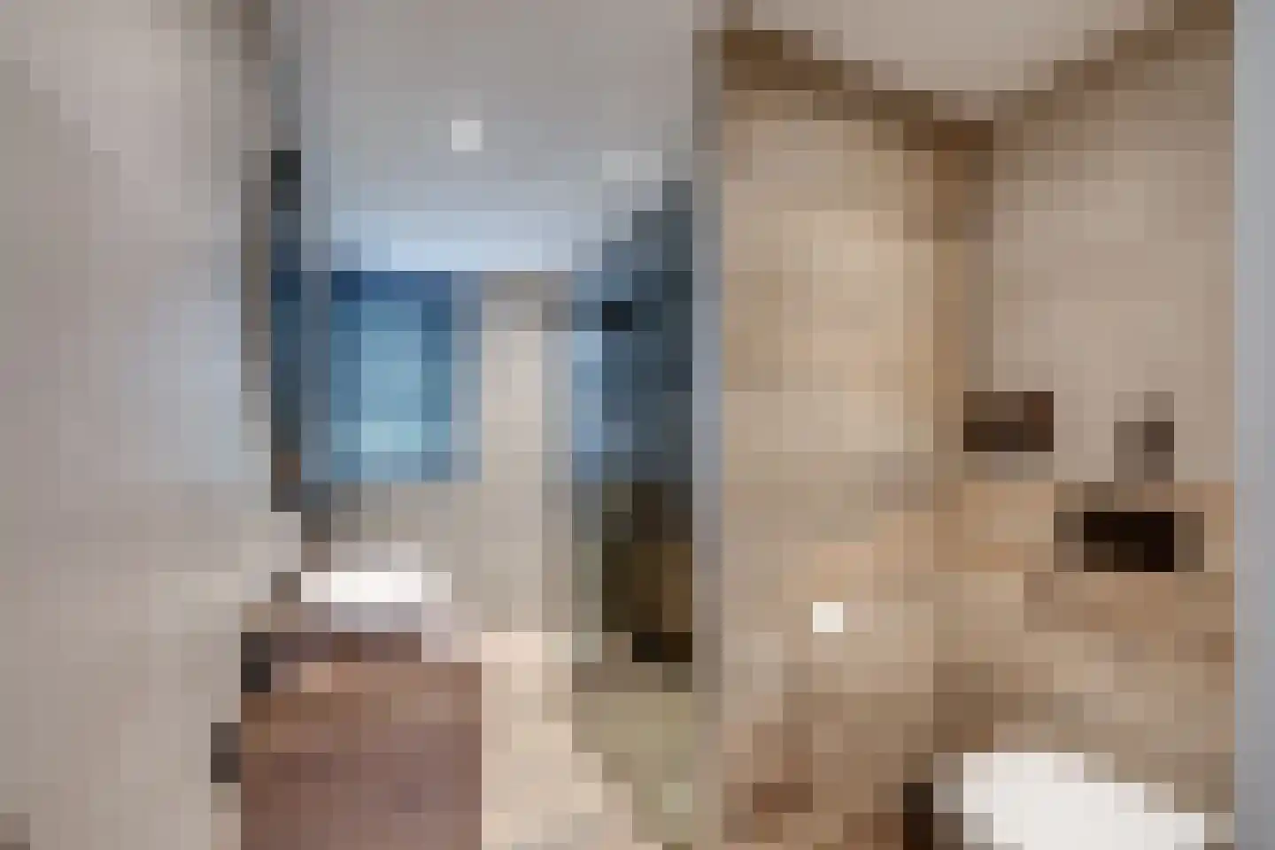 Minnertsgastraat 7 Tilburg thumbnail 30