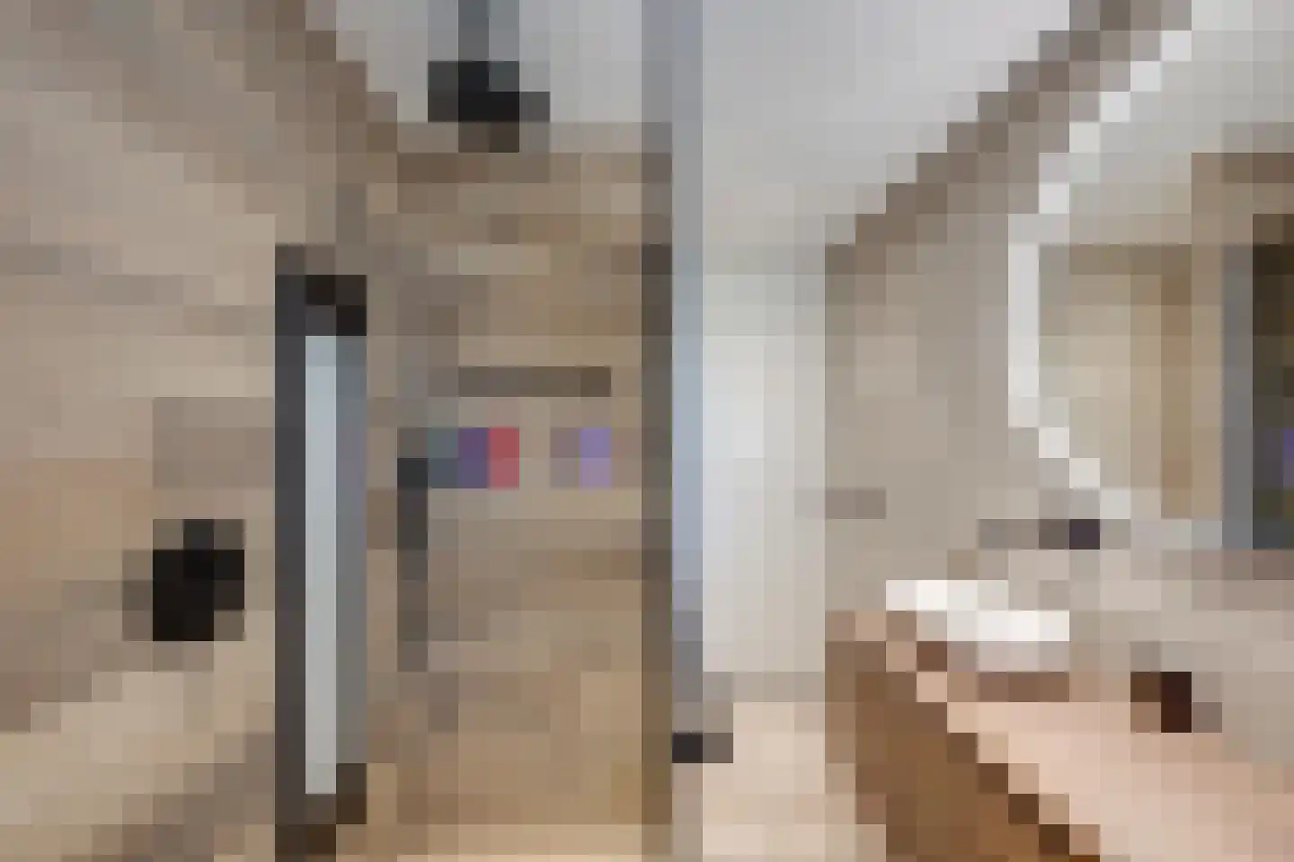 Minnertsgastraat 7 Tilburg thumbnail 32