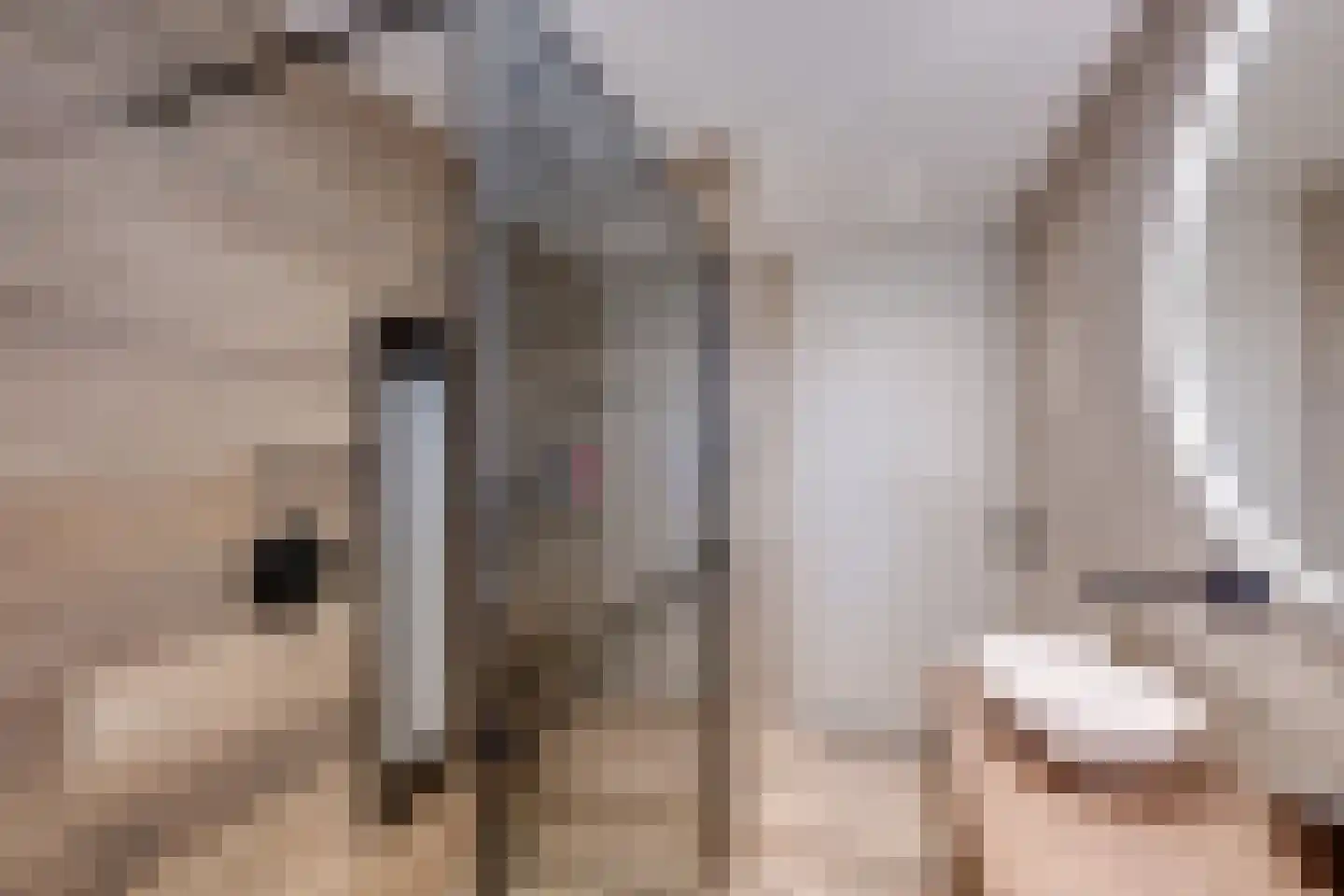 Minnertsgastraat 7 Tilburg thumbnail 33