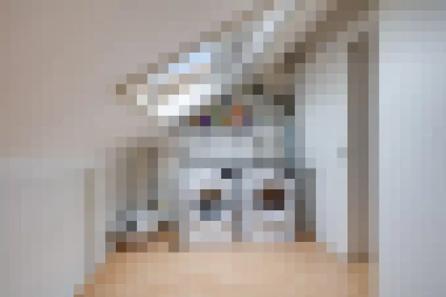 Minnertsgastraat 7 Tilburg thumbnail 41