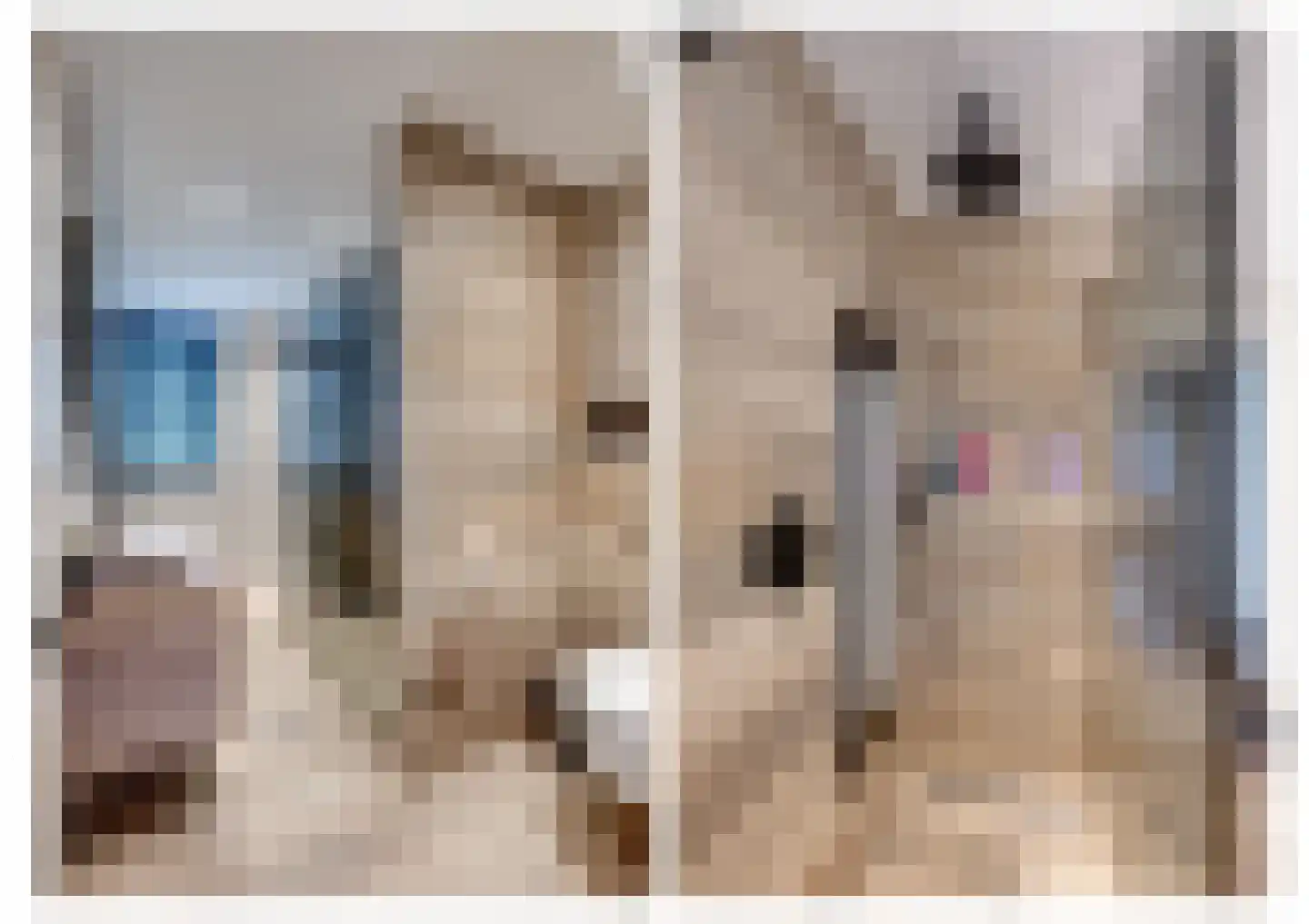 Minnertsgastraat 7 Tilburg thumbnail 5