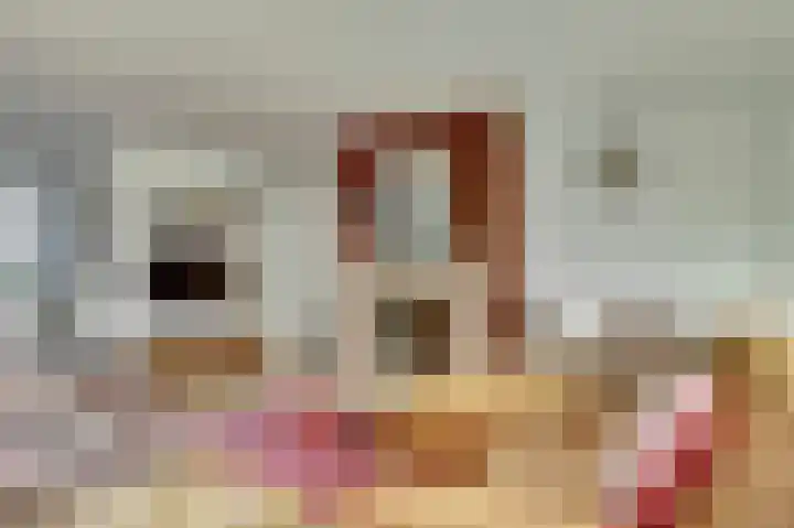 Minnewei 12 Midwoud thumbnail 11