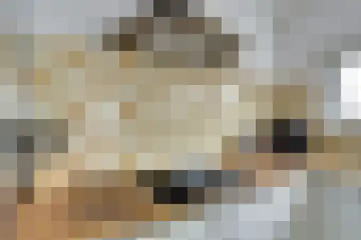 Minnewei 12 Midwoud thumbnail 19