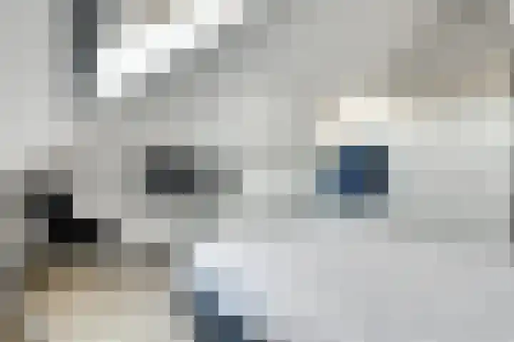 Minnewei 12 Midwoud thumbnail 30