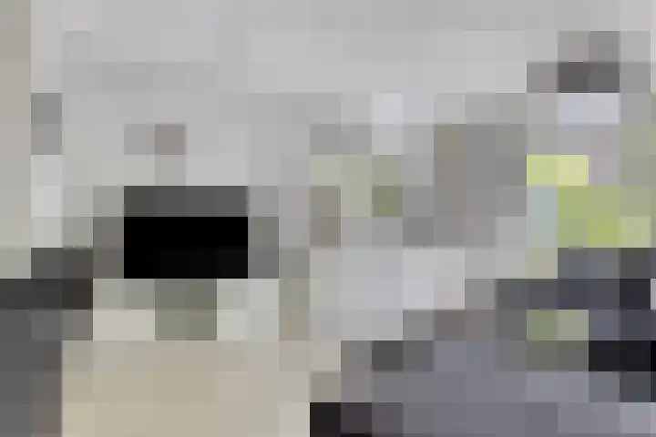 Minoes erf 37 Capelle aan den IJssel thumbnail 11