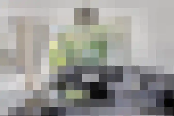 Minoes erf 37 Capelle aan den IJssel thumbnail 13