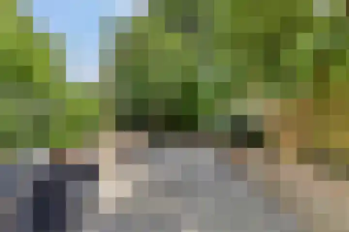 Minoes erf 37 Capelle aan den IJssel thumbnail 15