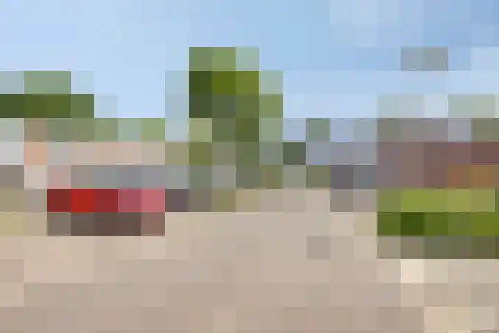 Minoes erf 37 Capelle aan den IJssel thumbnail 30