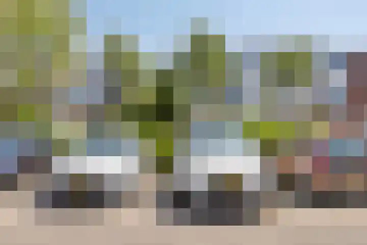 Minoes erf 37 Capelle aan den IJssel thumbnail 31