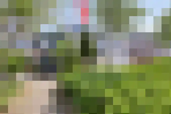 Minoes erf 37 Capelle aan den IJssel thumbnail 36
