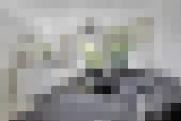 Minoes erf 37 Capelle aan den IJssel thumbnail 4