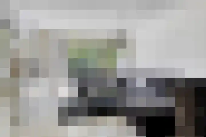 Minoes erf 37 Capelle aan den IJssel thumbnail 5