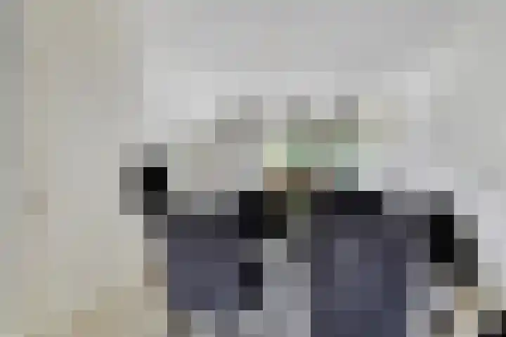 Minoes erf 37 Capelle aan den IJssel thumbnail 7
